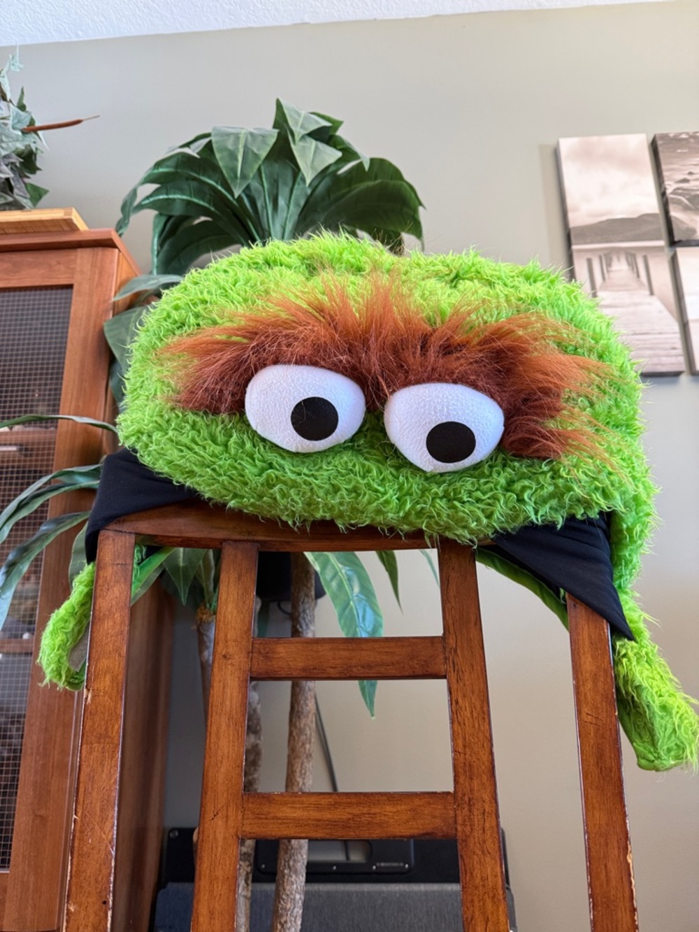 Unisex Costume Grouchy Green Fuzzy Oscar the Grouch Hat Big Eyes Head Piece